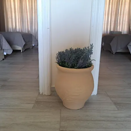 Potamos Apartments Sidari Exterior photo